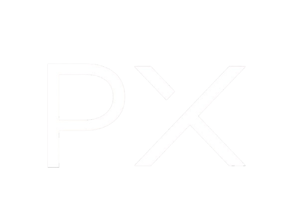 PinakX Mini Logo